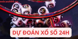 Dự đoán xổ số 24h
